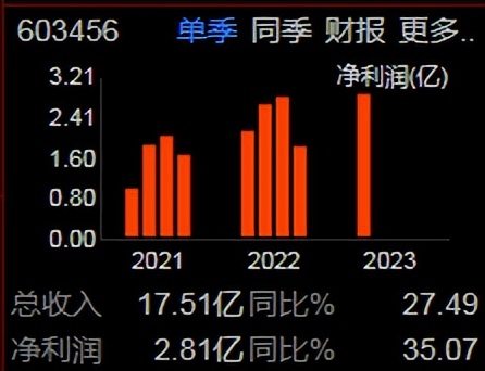 原料药、CDMO之九洲药业（603456）