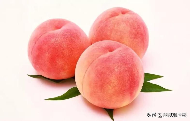 真正的山西孝义土话方言,山西孝义土话大全集