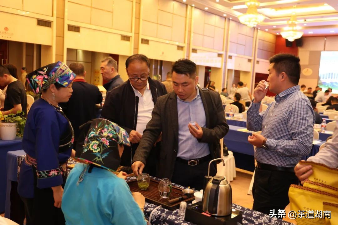 湖南长沙县春茶,2022湖南春茶总结