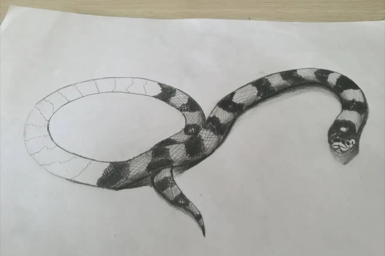 眼镜王蛇有多可怕,为什么眼镜王蛇敢攻击人