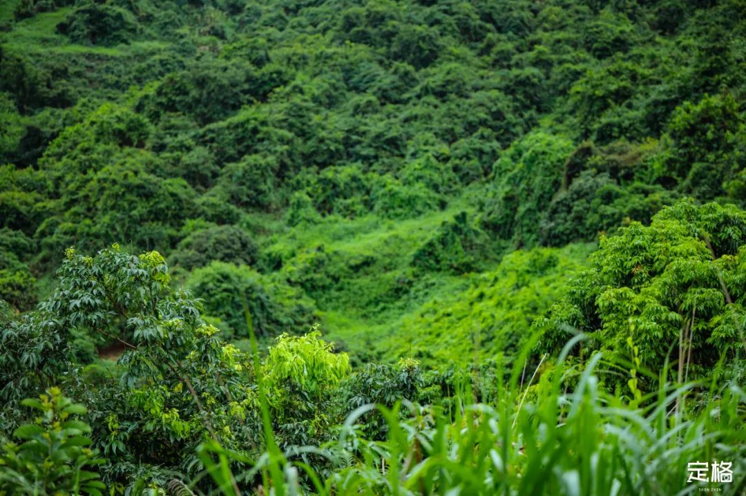 深圳比较危险的山,深圳很小众的山
