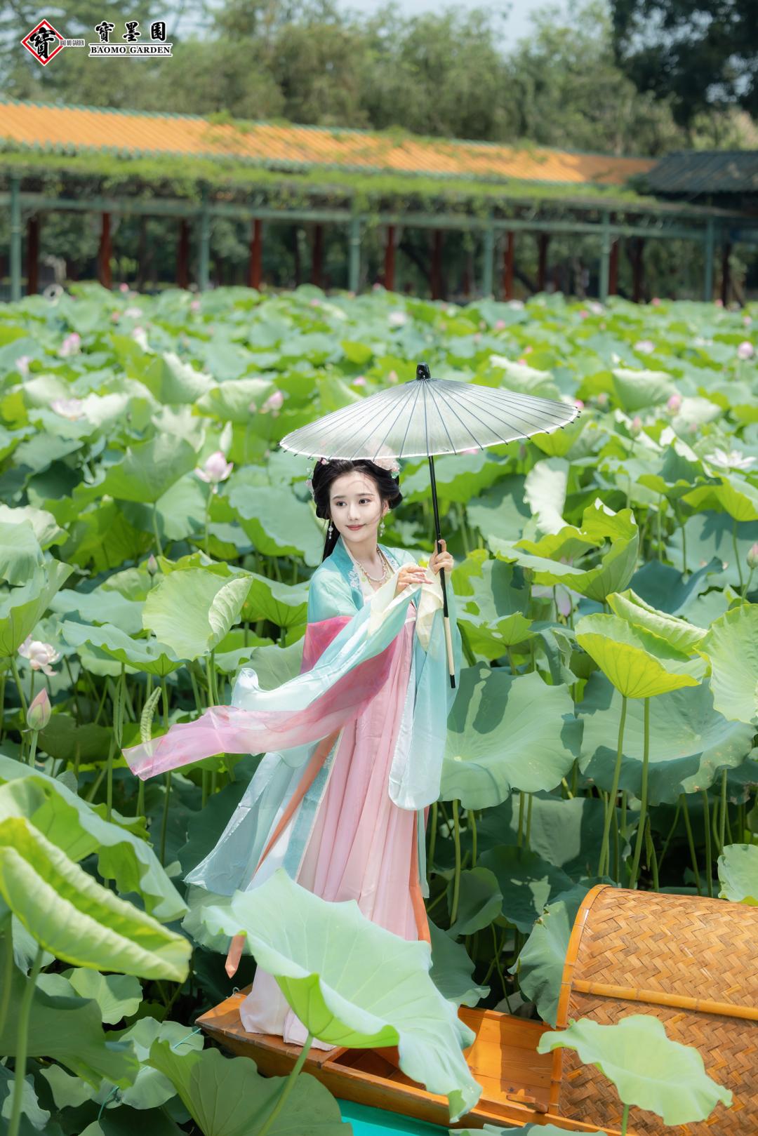 盛夏赴一场荷香之约,与夏天来场清凉的约会