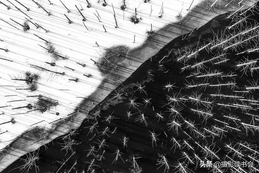 2018年度最佳摄影照片,创造出令人惊叹的自然摄影照片