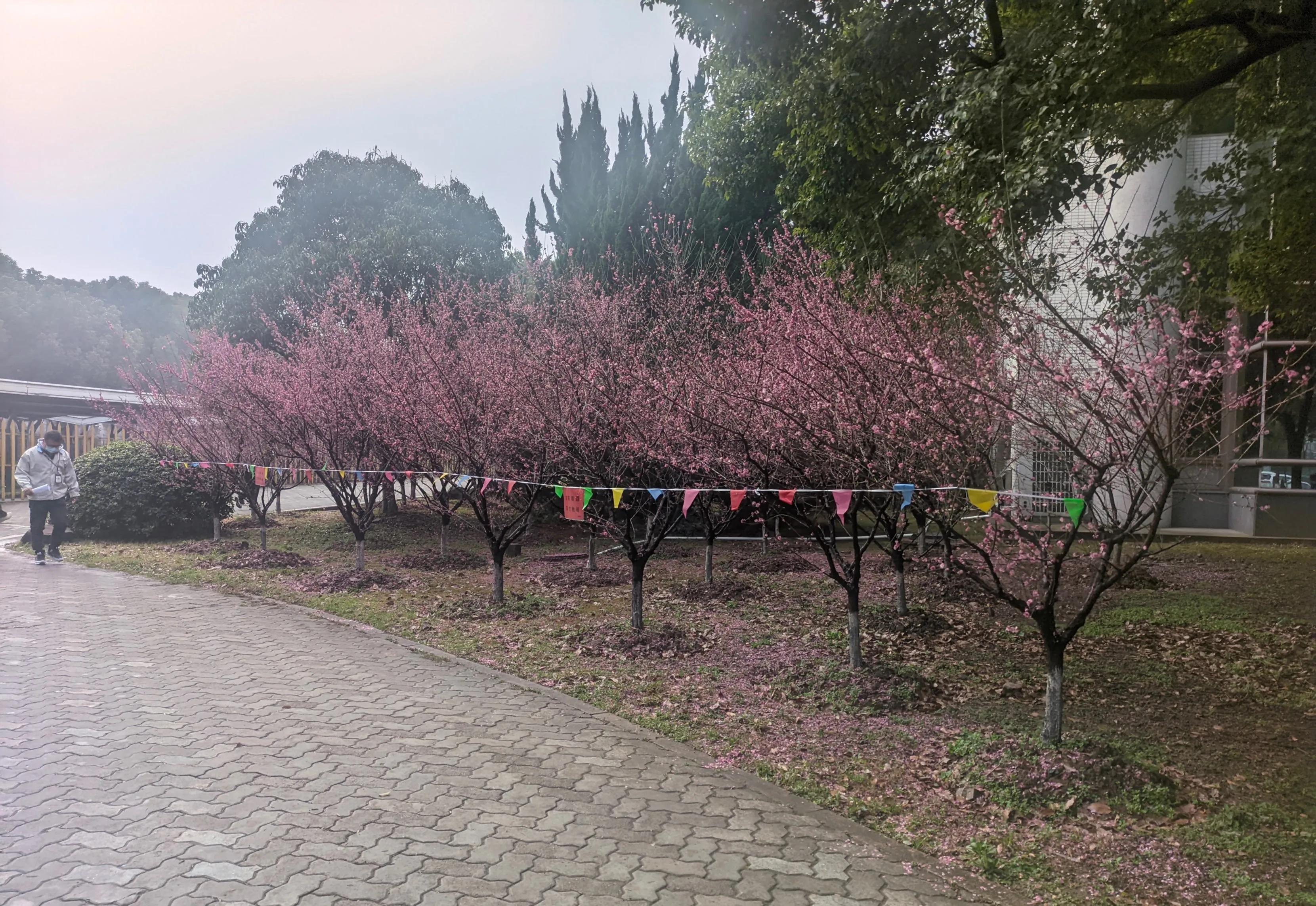 我的入职日记,我的入职报到日记