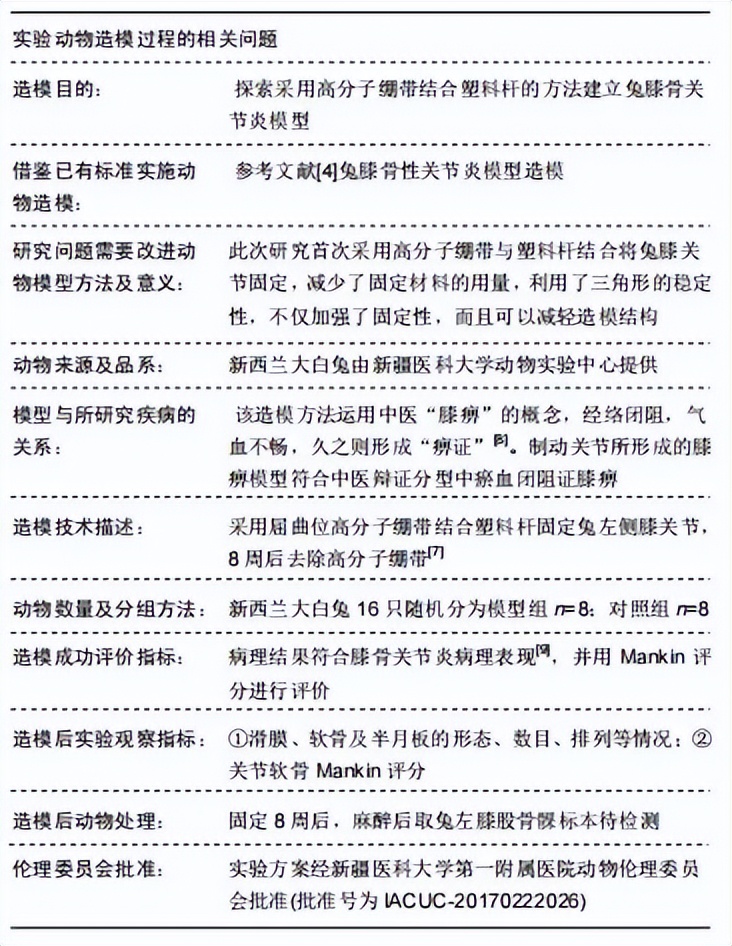 高分子矫形合成绷带,高分子石膏绷带治疗膝过伸