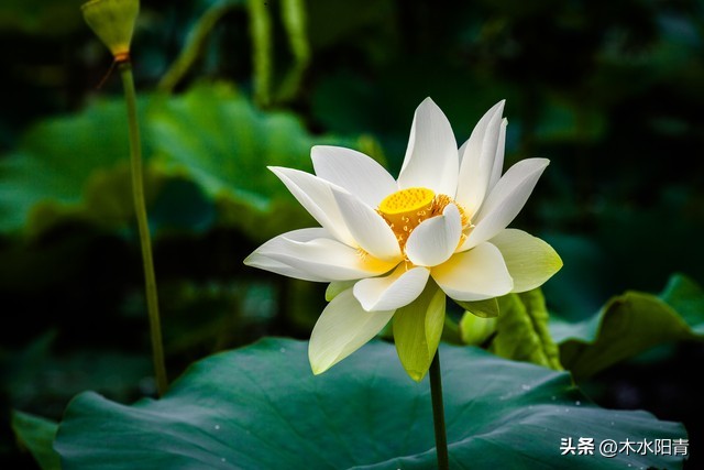 648除了买游戏皮肤，还能干什么？