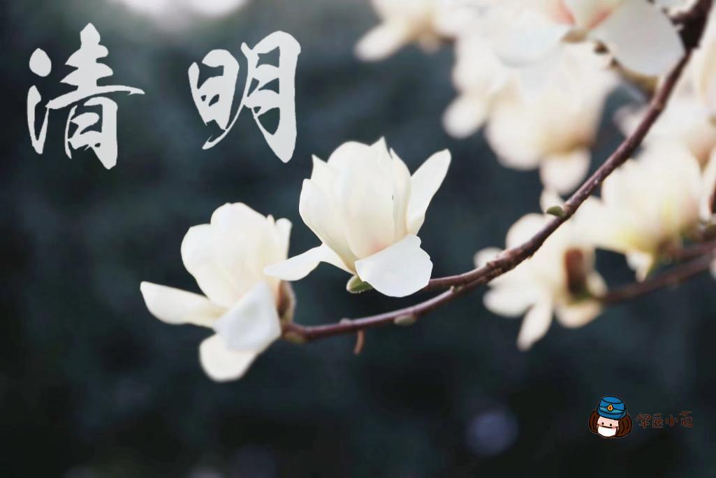 军医小茵个人简介,军医小茵高清图片