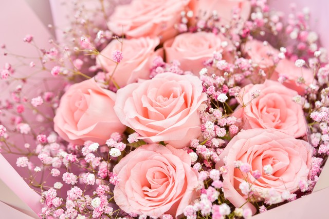 什么花可以代表爱情的纯洁,十种花代表爱情的花