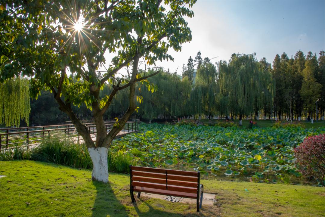 美美美，在阳光灿烂的成电遇见你~