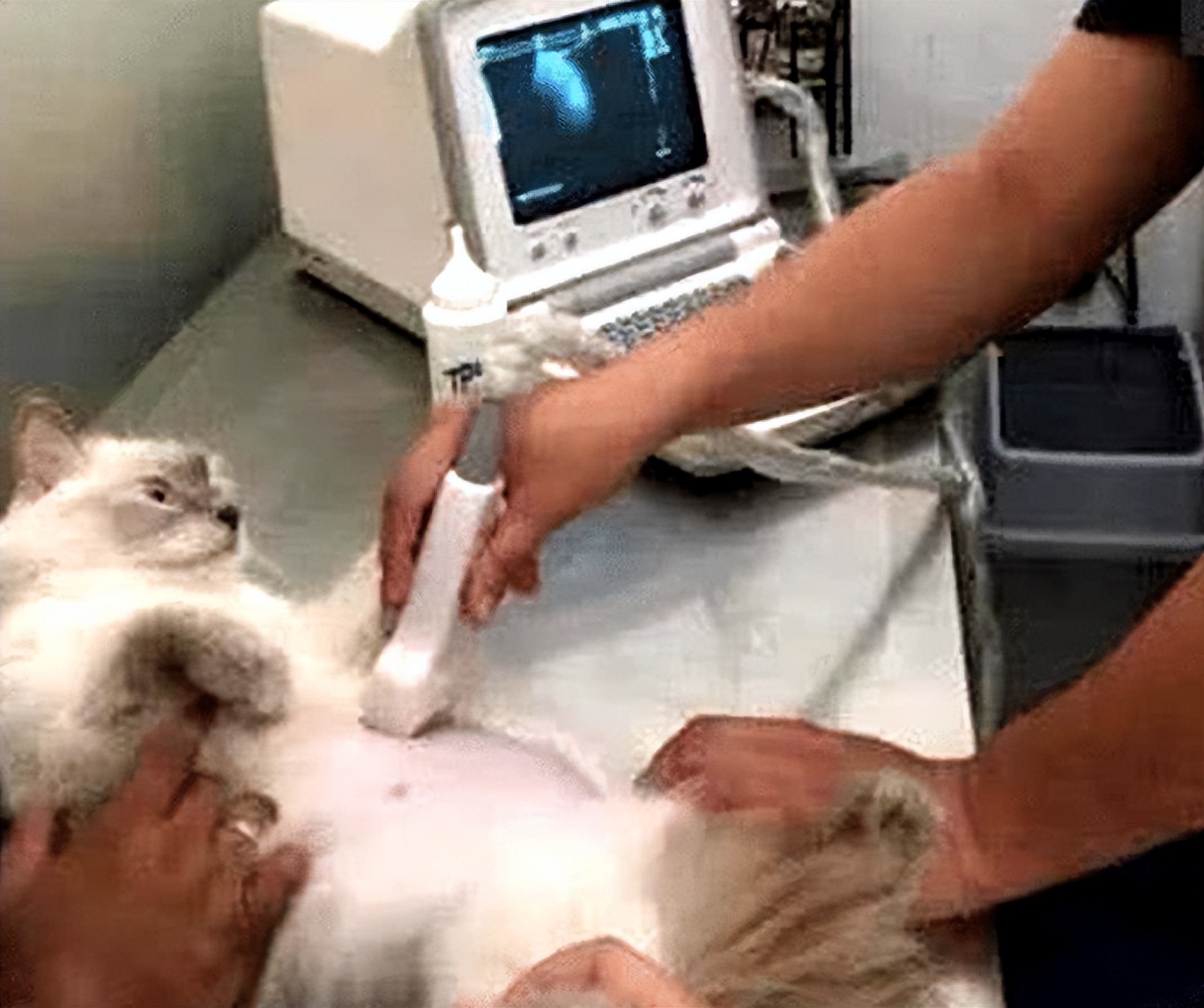 叶酸备孕怎么吃才正确,备孕叶酸到底吃哪种最安全