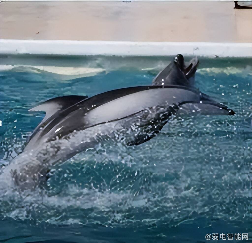 华为超远距摄像头,华为有几种监控摄像头