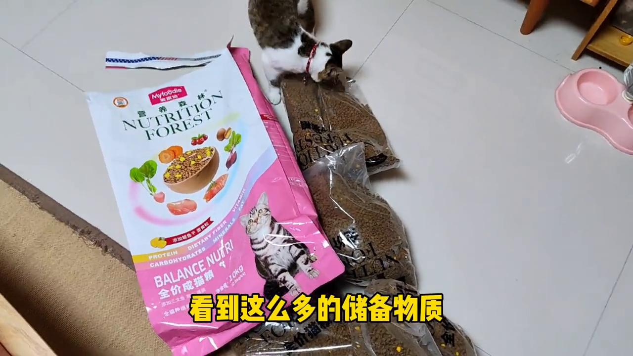 麦富迪营养森林含肉量,麦富迪营养森林和黑森林