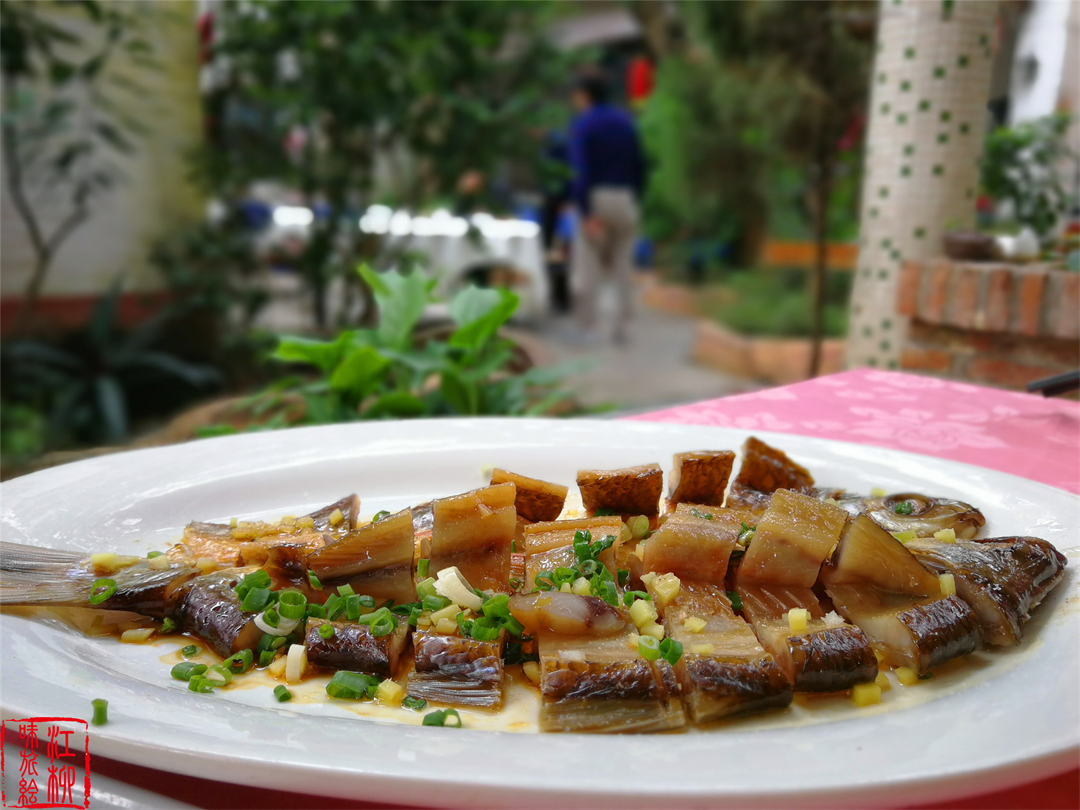 古村探寻｜广东佛山顺德一日打卡杏坛镇两个岭南水乡