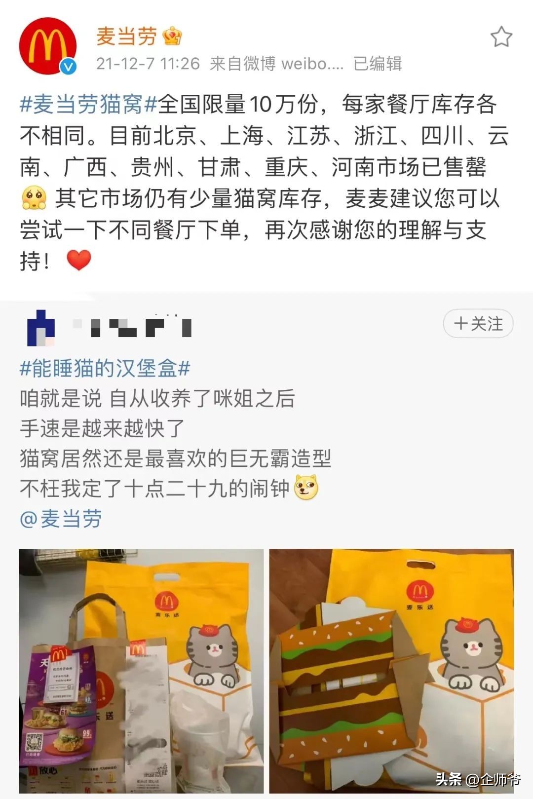 肯德基自制猫窝,肯德基允许带猫吗