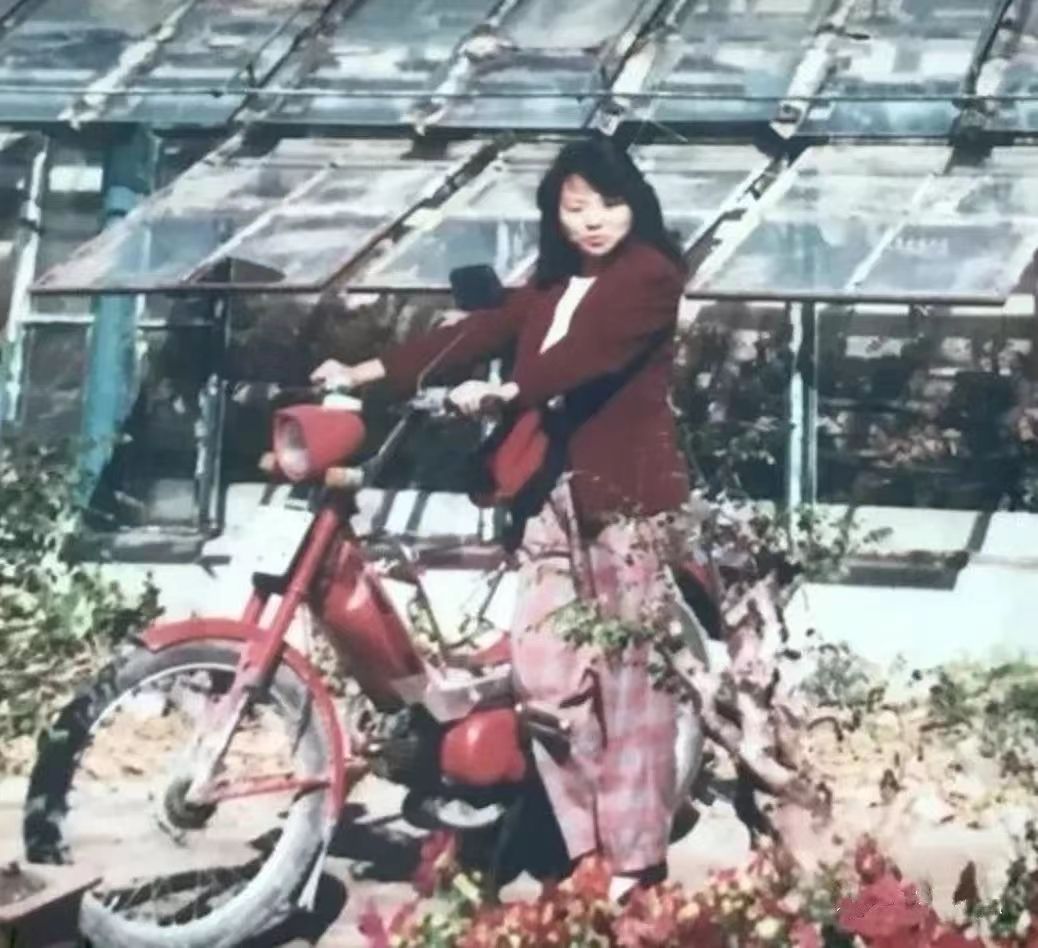 东方园林董事长何巧女经历了什么,园林何巧女