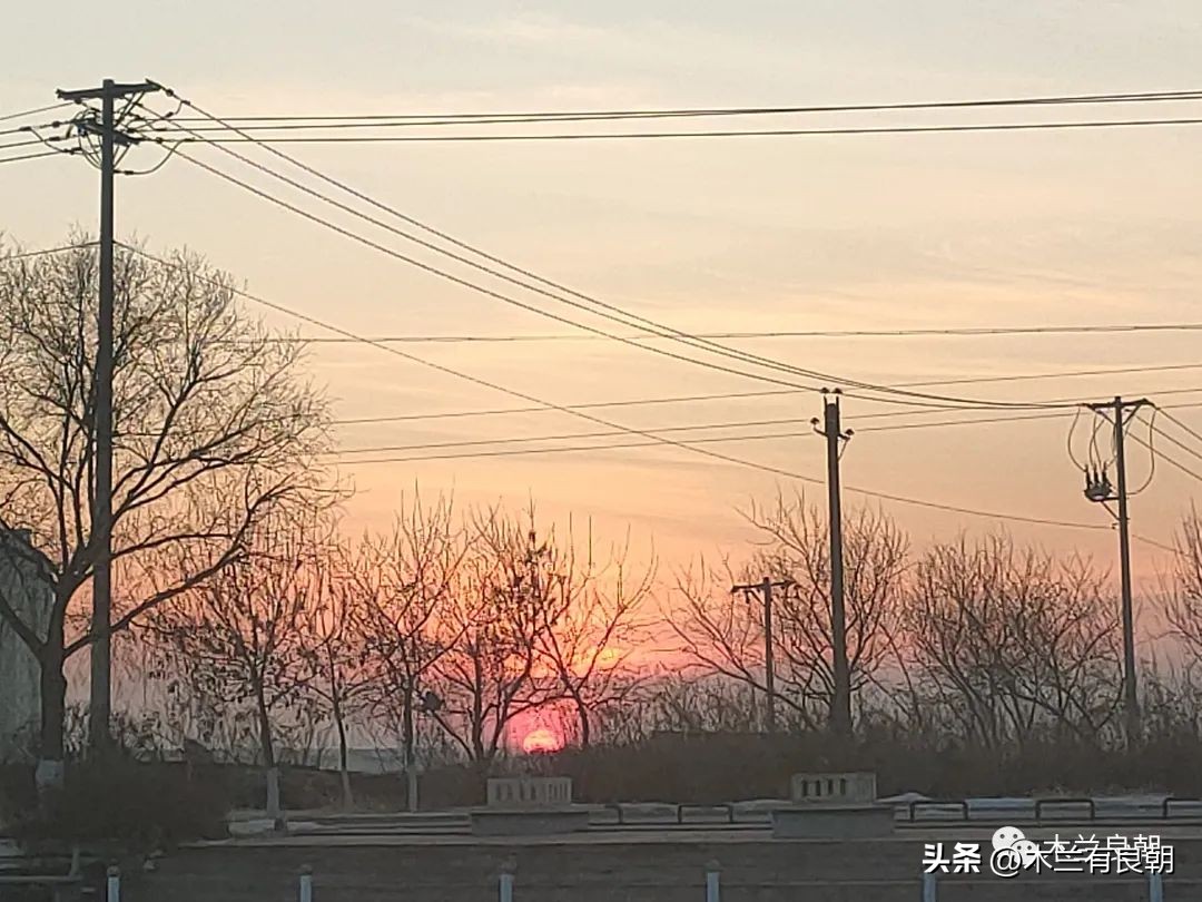 白城子官银号往事6:真优美