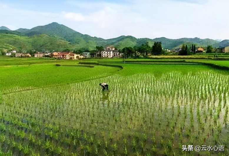 关于陆游的忧愁诗句,陆游最雄浑苍凉的一首诗