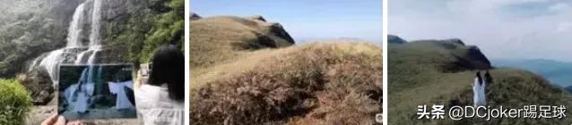 评分高的国产电视剧2022年排行榜,1998年国产电视剧排行榜大全