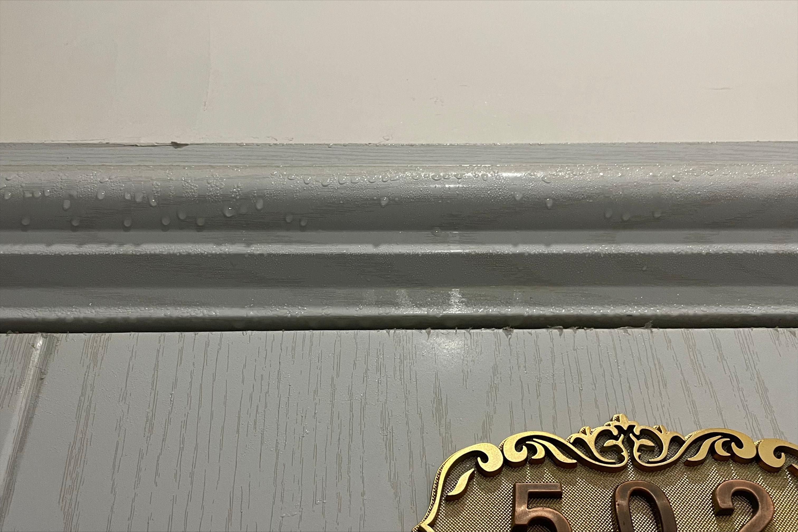 广东有回南天吗,广东一年一度的回南天