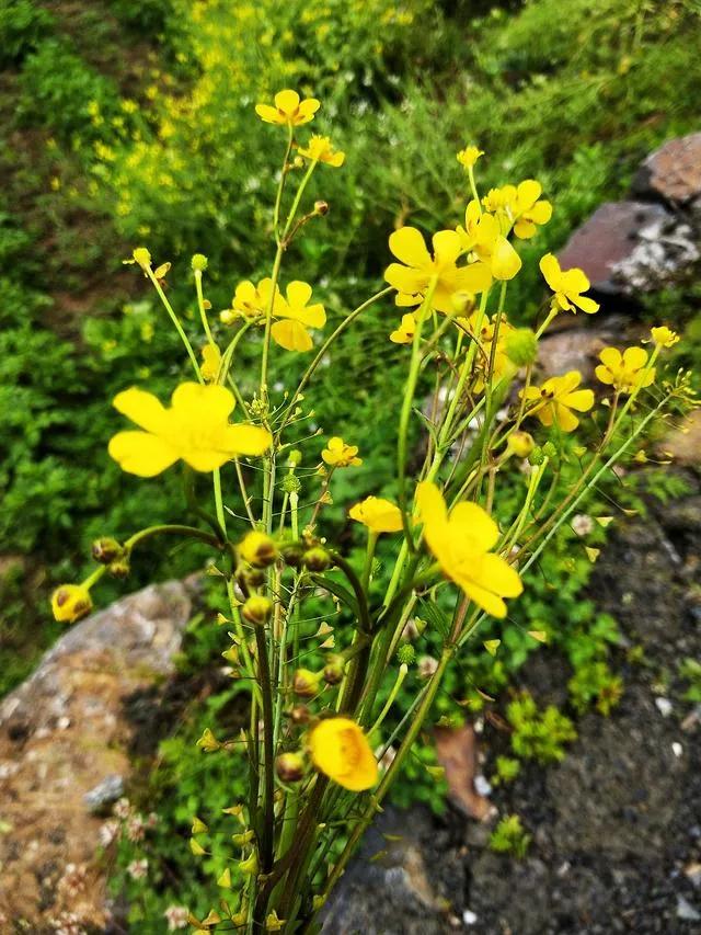 学习认知,认知觉醒总结及感悟