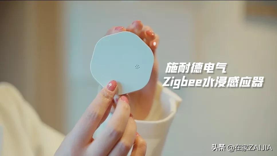 鏃ユ湰椤剁骇瀹ゅ唴璁捐澶у笀浣忓畢鍏瘬,椤剁骇鍏瘬璁捐澶у笀