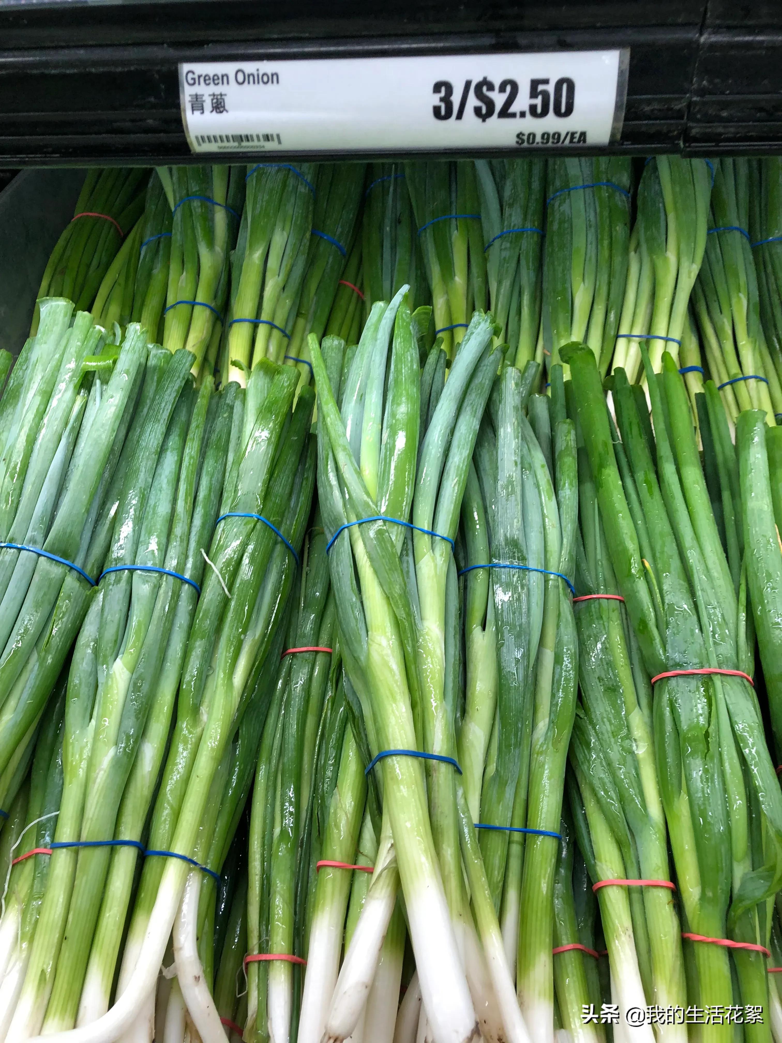 福州加拿大多伦多物价 (加拿大生活物价如何)