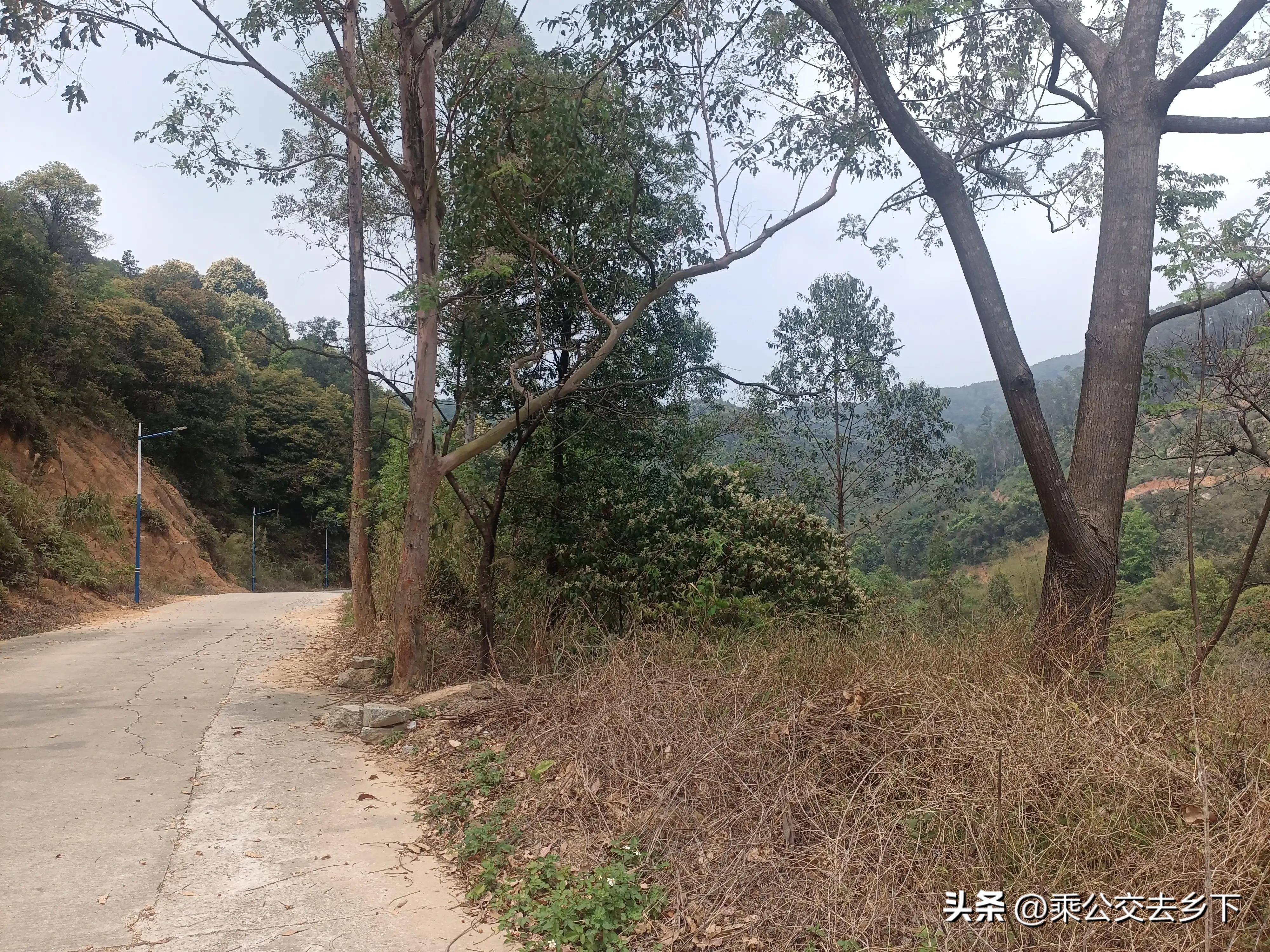 穗丰村-一所学校带来的繁荣