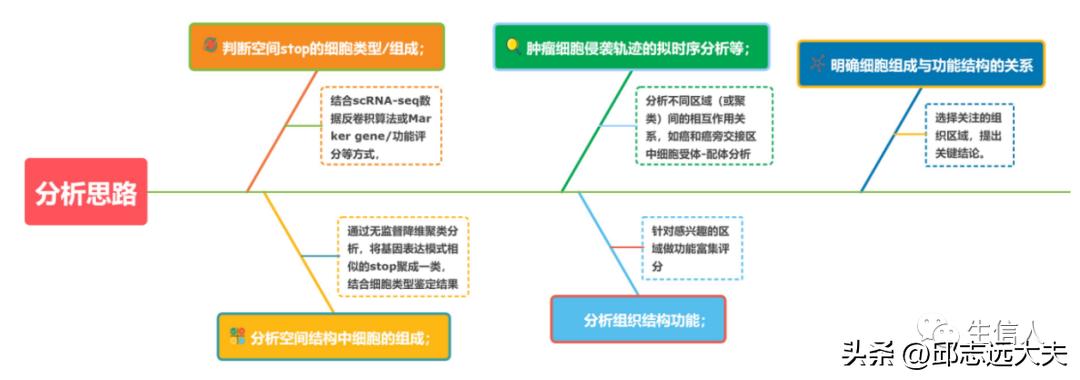 泛癌分析是怎么找到特定的基因的,癌细胞分析最新研究
