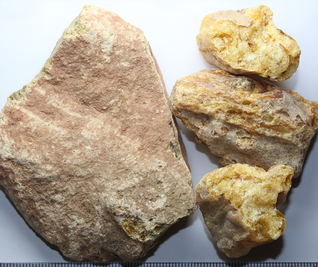 怎么识别煤琥珀,琥珀用水怎么样识别真假