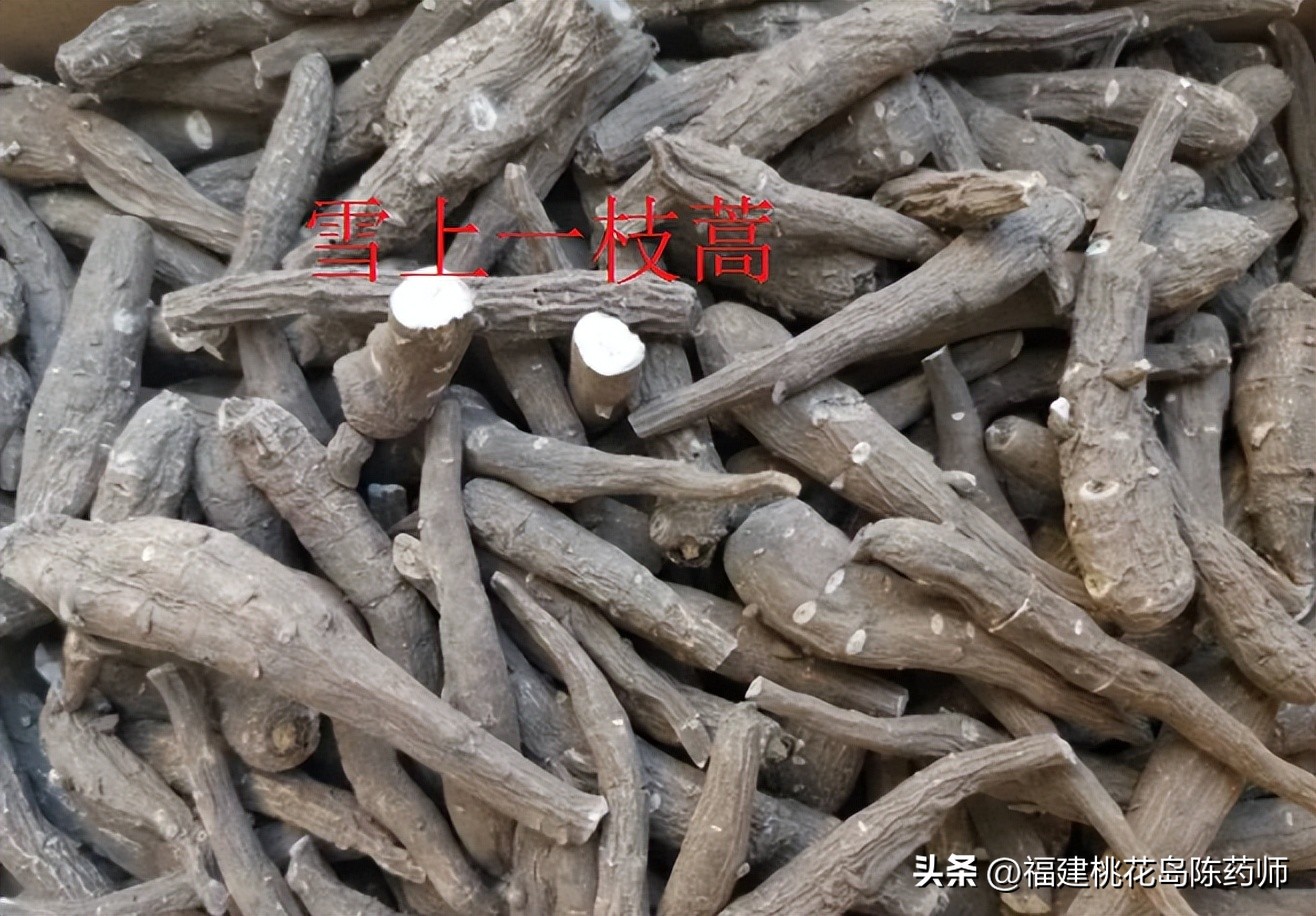 药用植物与有毒植物,植物类有毒中药