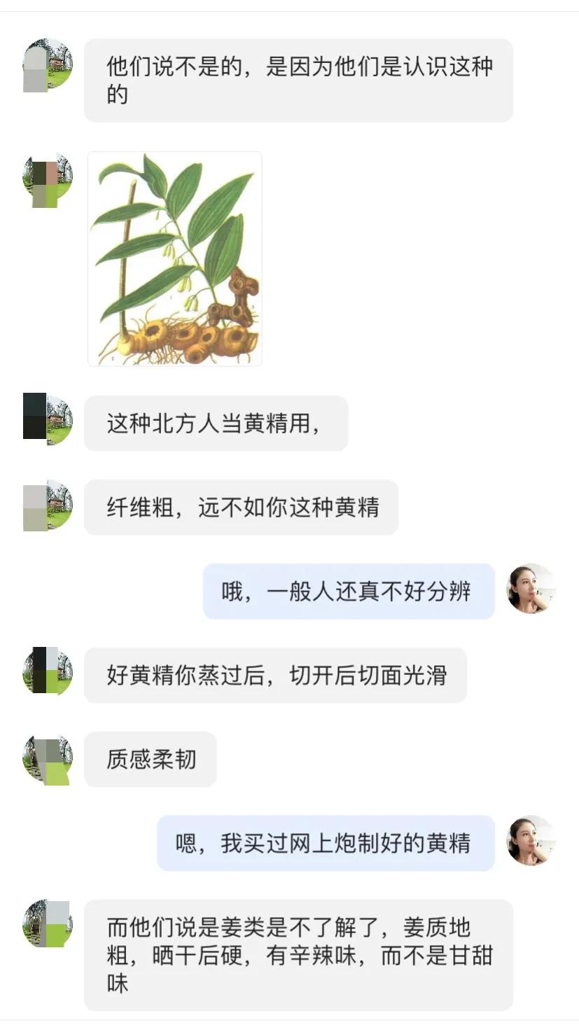 我在白云山130元买了10斤黄精,有人说我是被采药人偶遇了