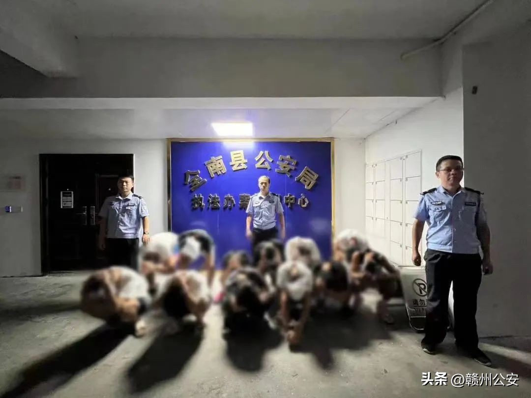 综合整治电诈犯罪,打击电诈犯罪百日攻坚