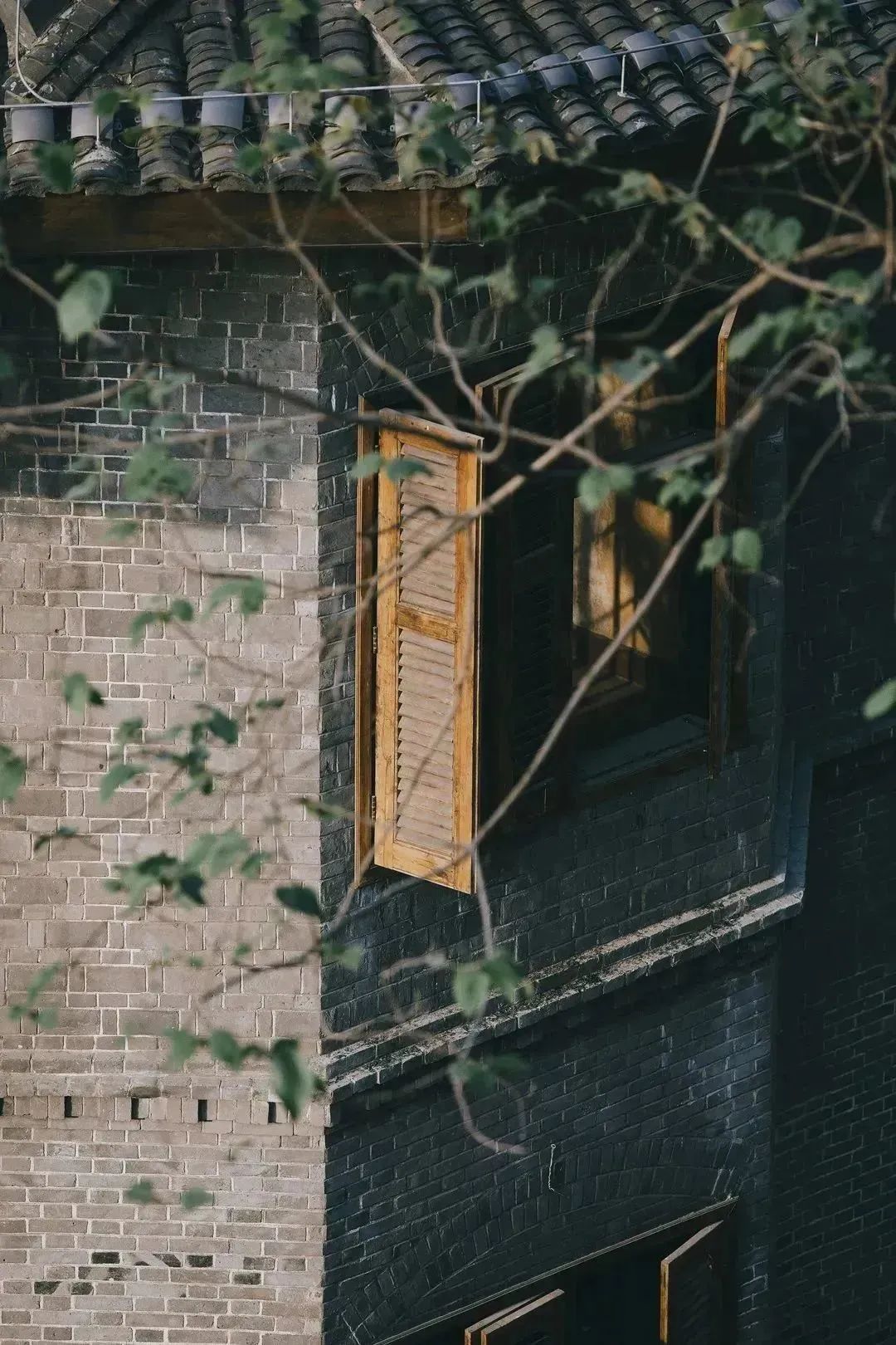 看重庆，来南岸|不看南岸这些地方，就不算到过重庆