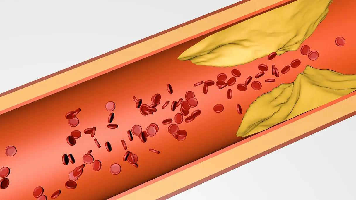 上了年纪的男人最怕什么,上了年龄要注重身体