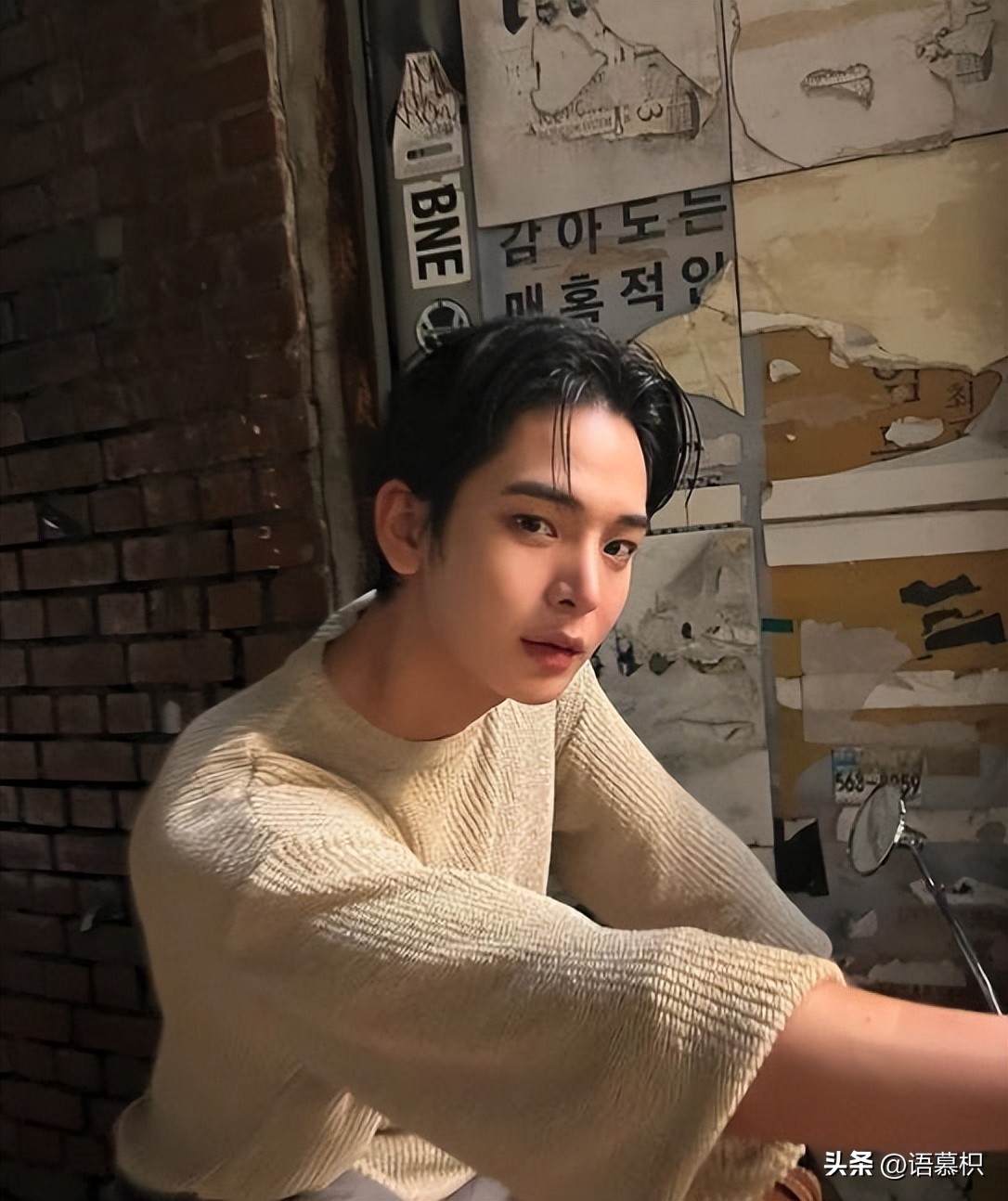 单身即地狱选美冠军,单身即地狱参赛选手