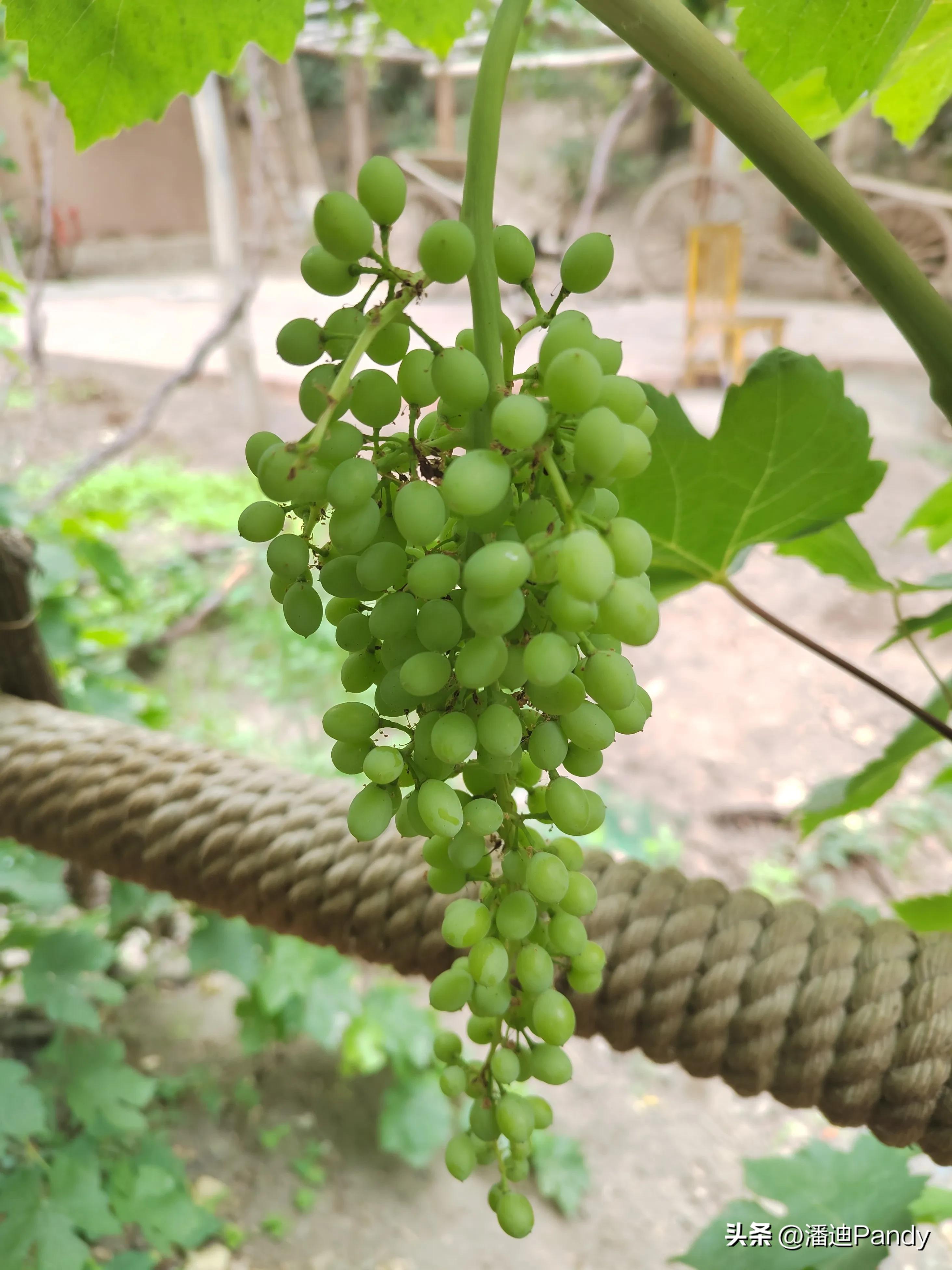 去吐鲁番沙漠玩攻略,去吐鲁番坐车攻略