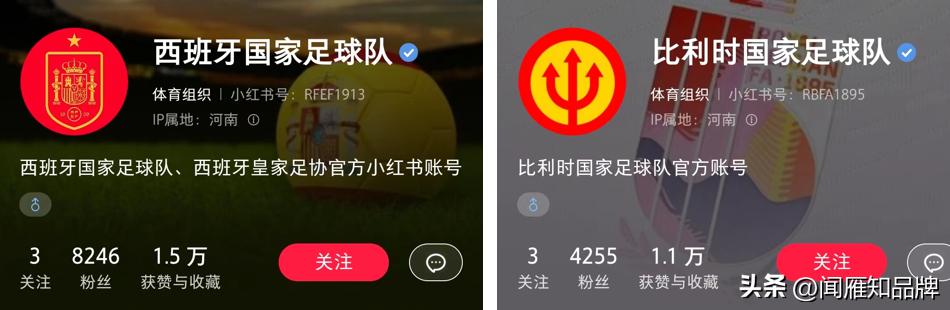 耐克赞助世界杯球队,品牌赞助足球怎么盈利