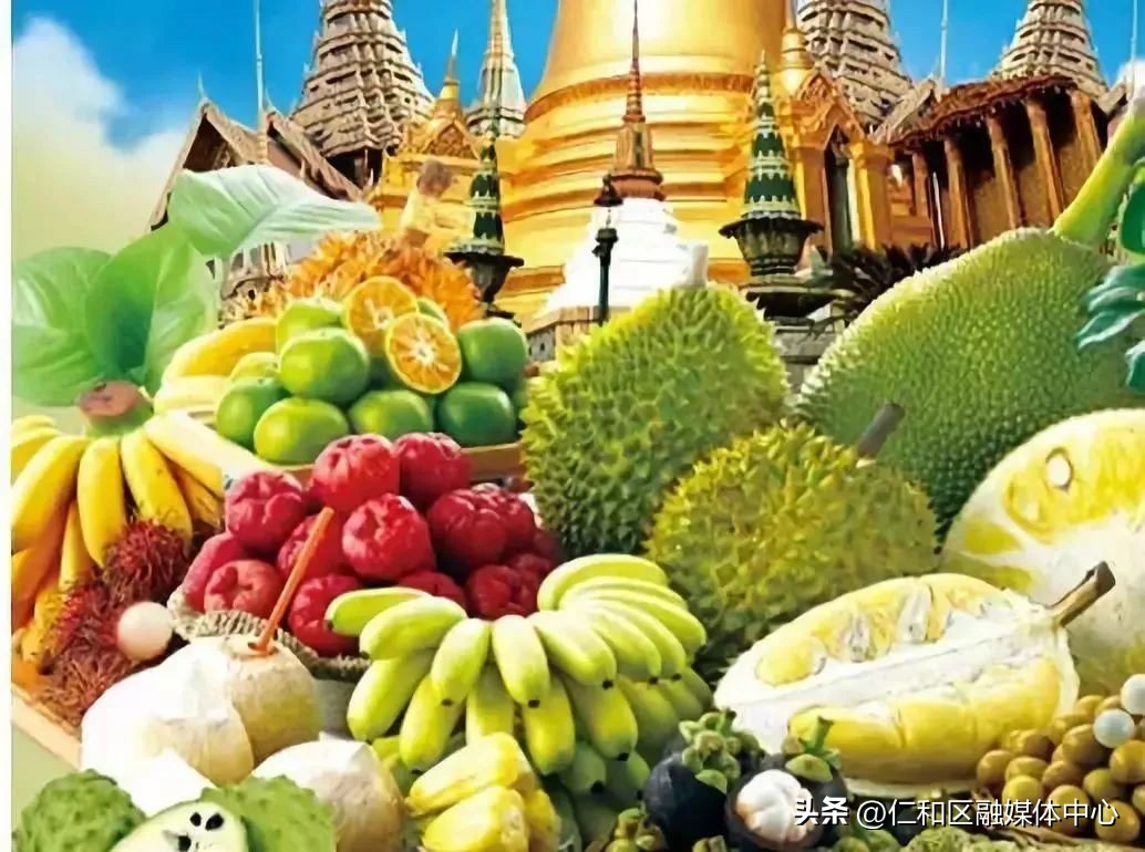 “果”然精彩快收好仁和区这份“东南亚度假”指南