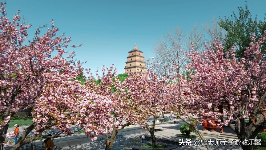 西安旅游攻略必去10个景点,西安旅游攻略必去景区