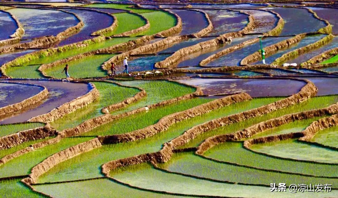 2019年彝族火把节凉山,彝族火把节2023年阳历几号