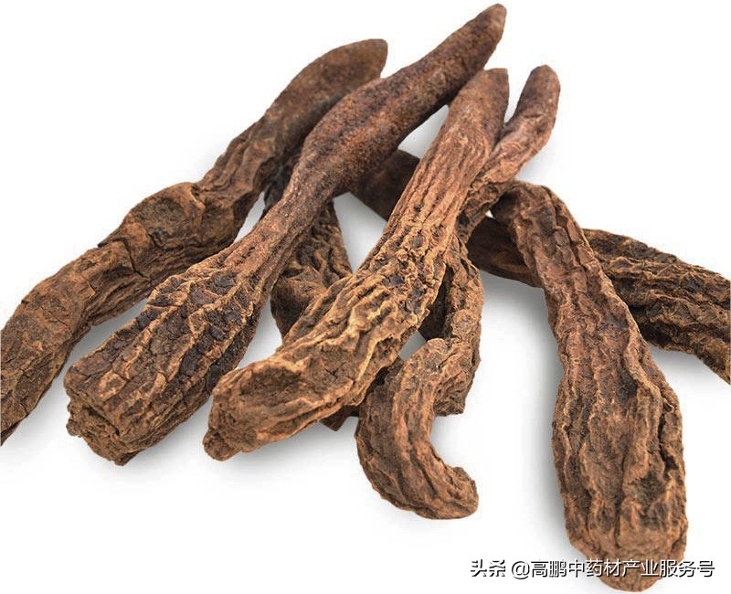 高鹏分析中药材走势,高鹏说药材