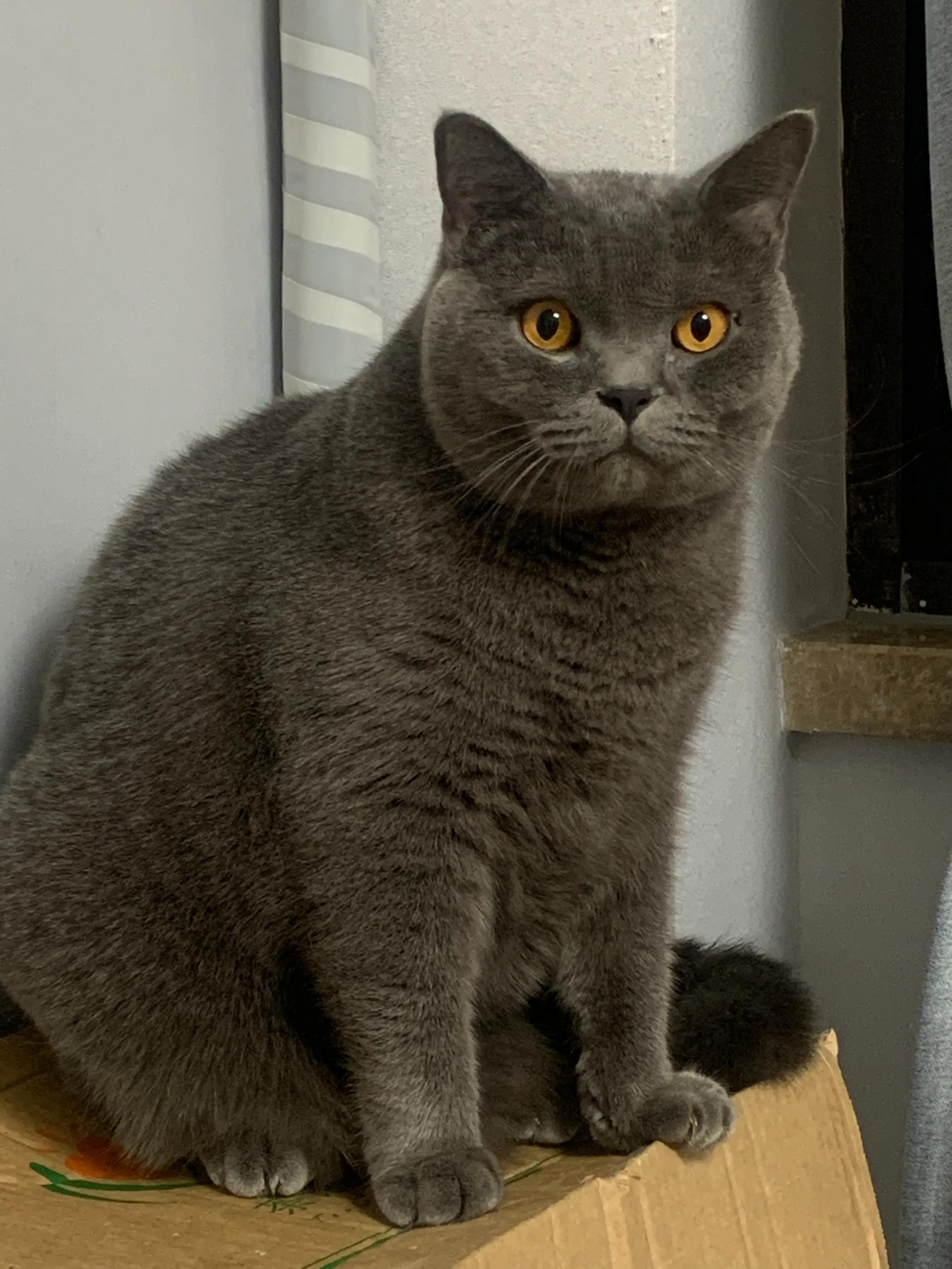 失业125天的案例,失业后101天的感受