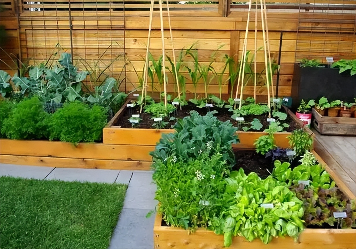 行业技术再升级安徽聚科生物以赋硒技术打造富硒营养土