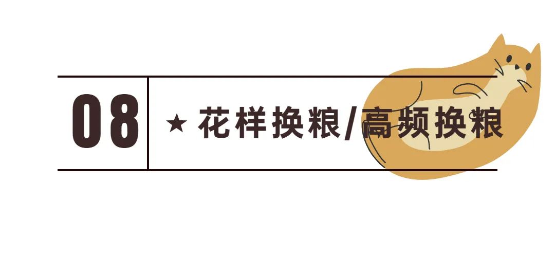 新手常见的害猫行为,养猫注意预防哪些疾病