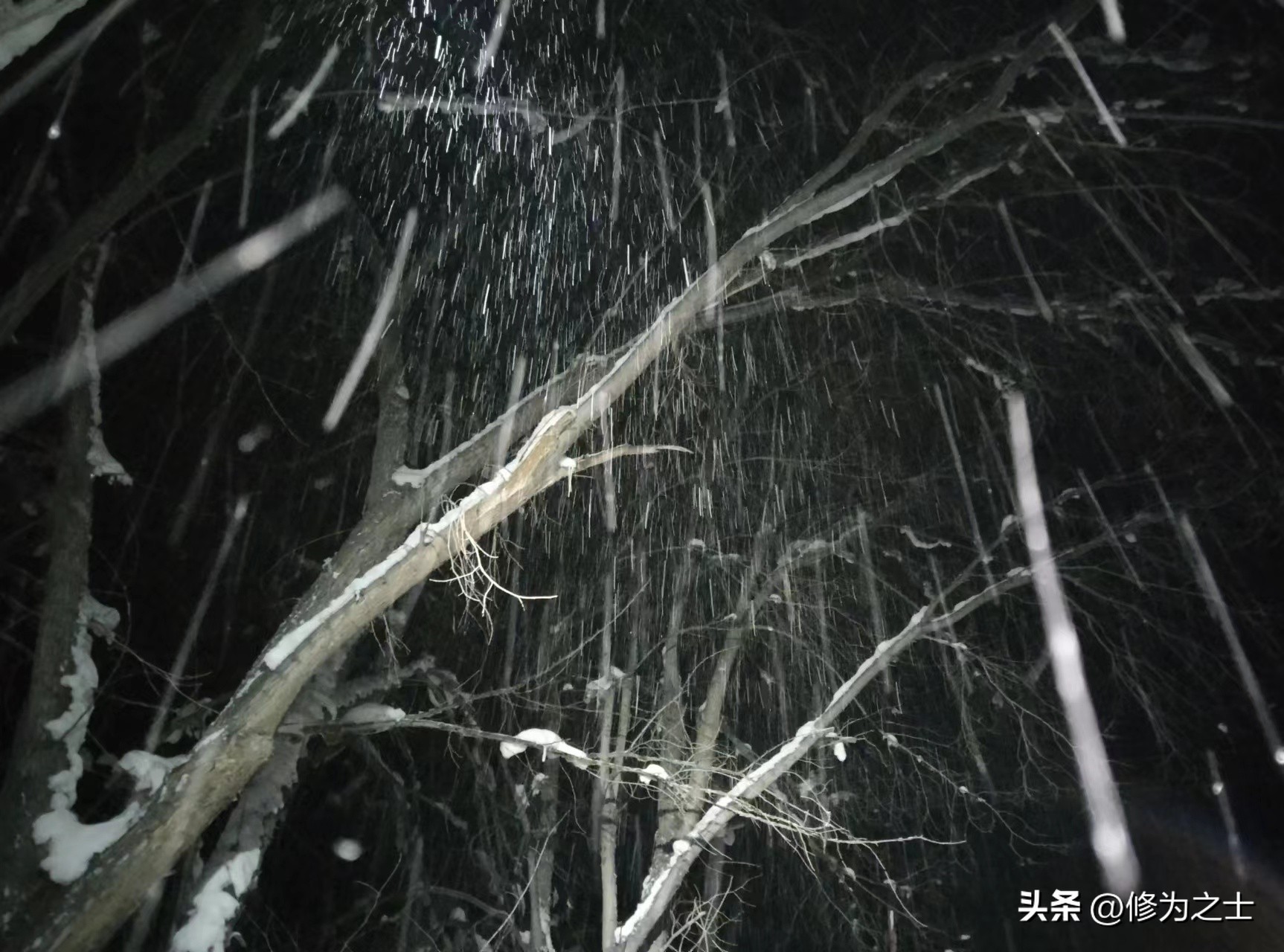 石河子连队,石河子军垦职工