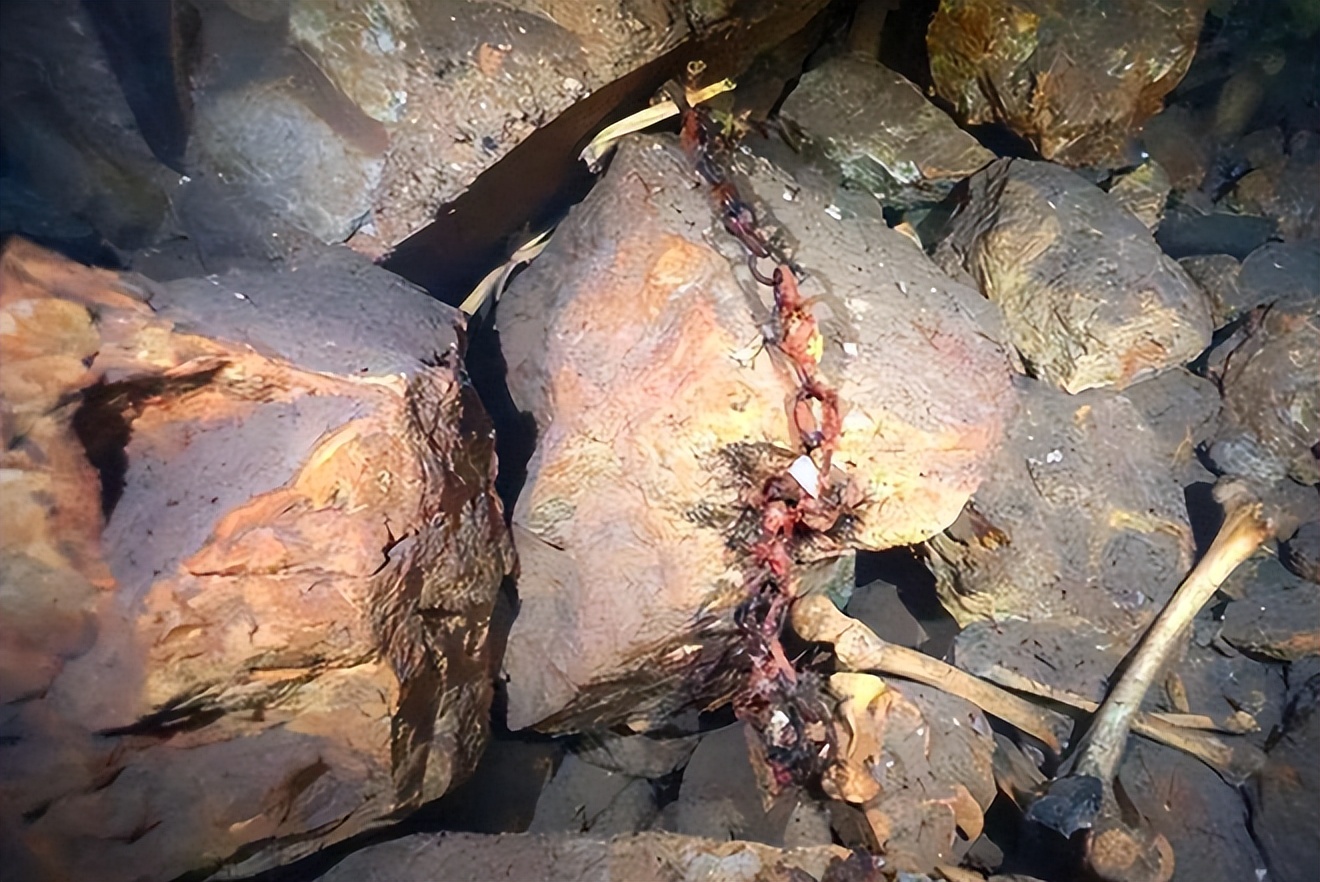 广东绿窟潭发现大量女性遗骨,广东绿窟潭发现10具女性骸骨