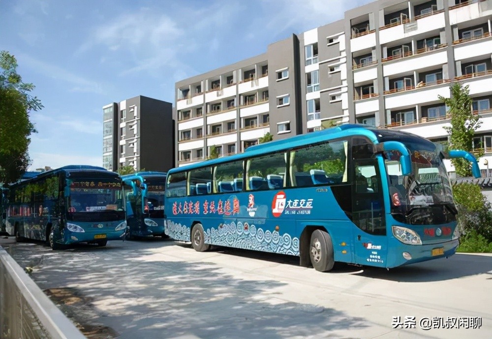 宇通集团的愿景,宇通客车发展