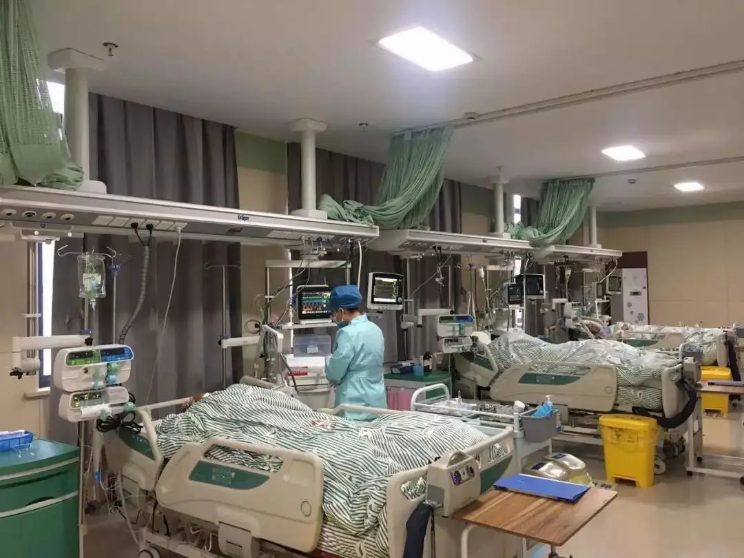 延边大学麻醉学和临床医学,麻醉学和临床医学课程区别