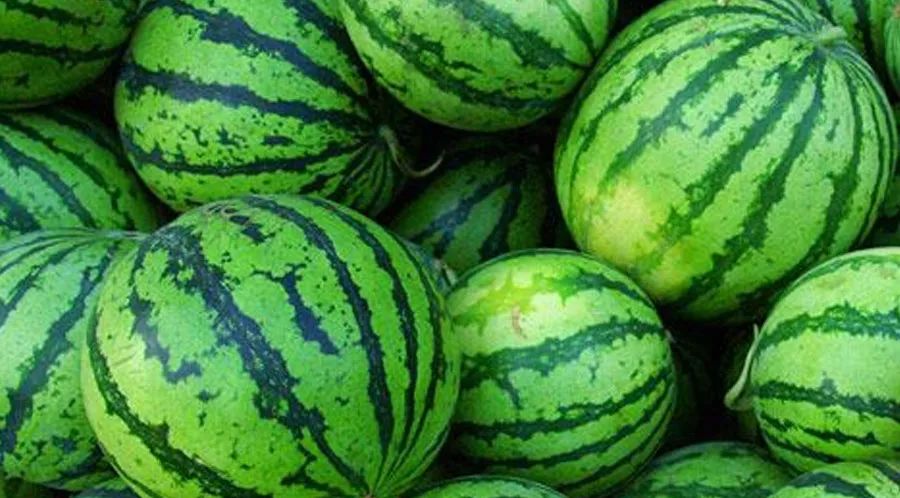 创意儿童画西瓜的画法,儿童画创意画夏天的西瓜和扇子