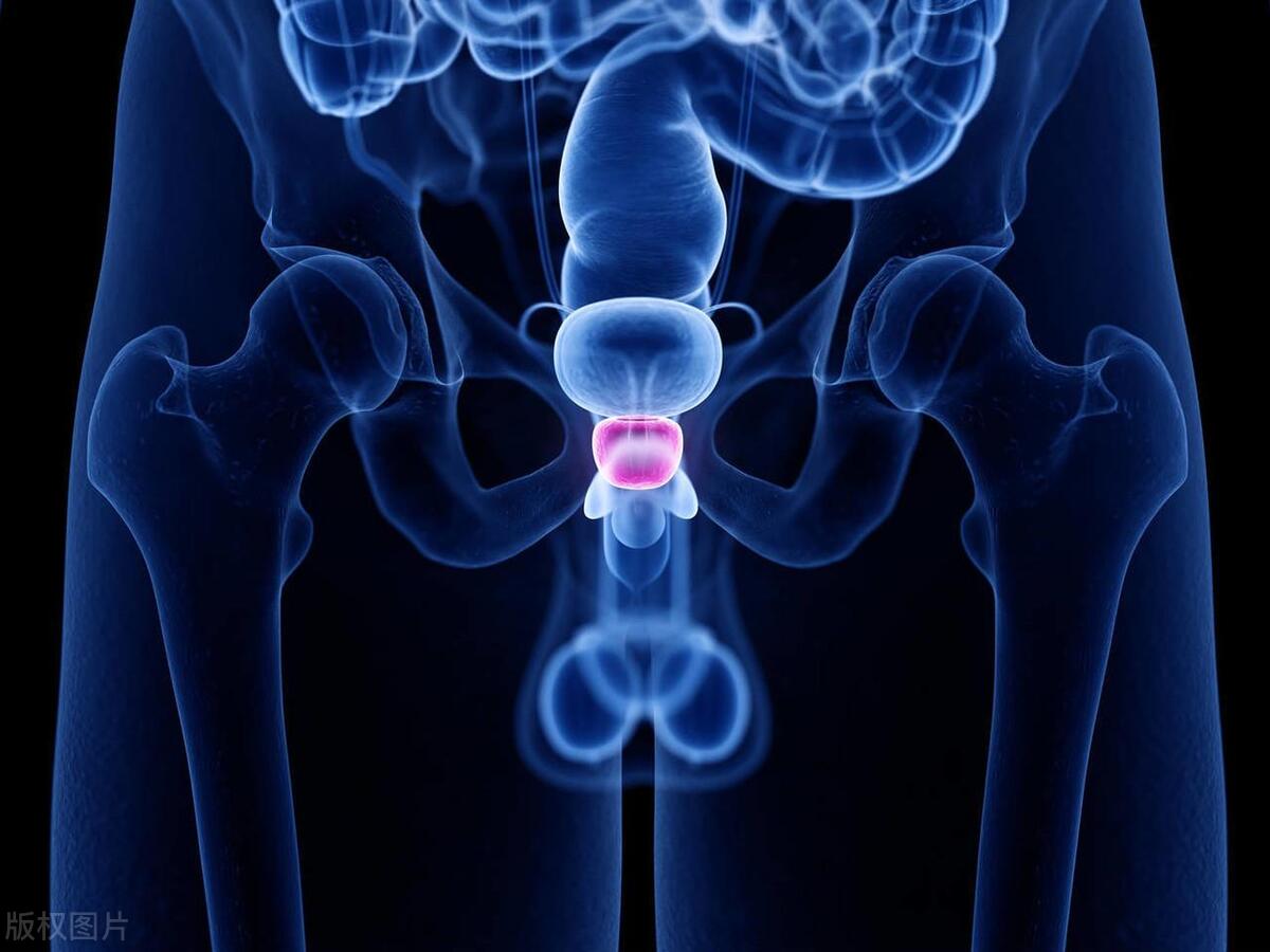 断了的丁丁，还能再接上吗？与男人“办事”和后代息息相关